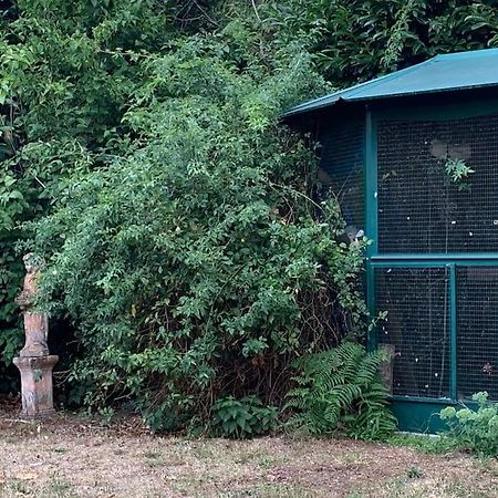Maisonnette En Clairiere De Foret Gambais 외부 사진