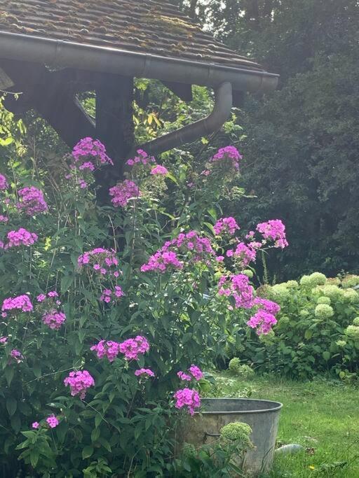 Maisonnette En Clairiere De Foret Gambais 외부 사진