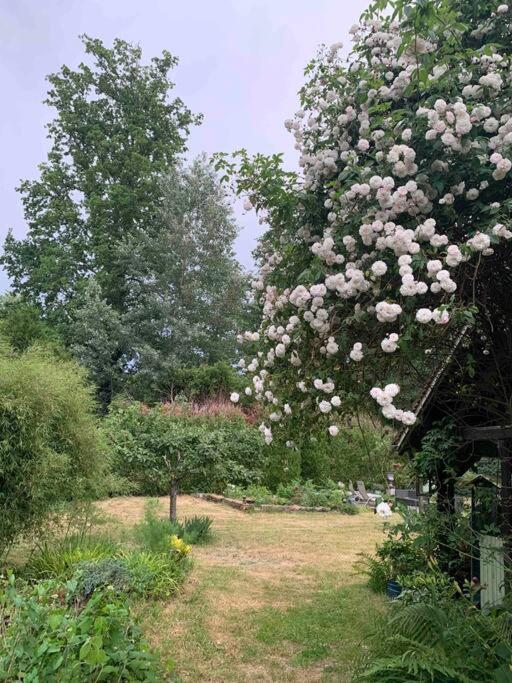 Maisonnette En Clairiere De Foret Gambais 외부 사진