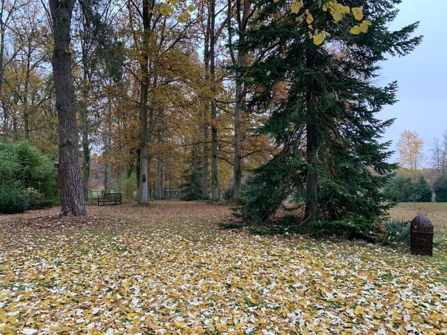Maisonnette En Clairiere De Foret Gambais 외부 사진