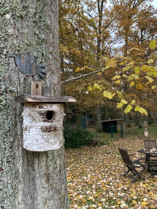 Maisonnette En Clairiere De Foret Gambais 외부 사진